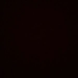 Meet your Posher, Maya